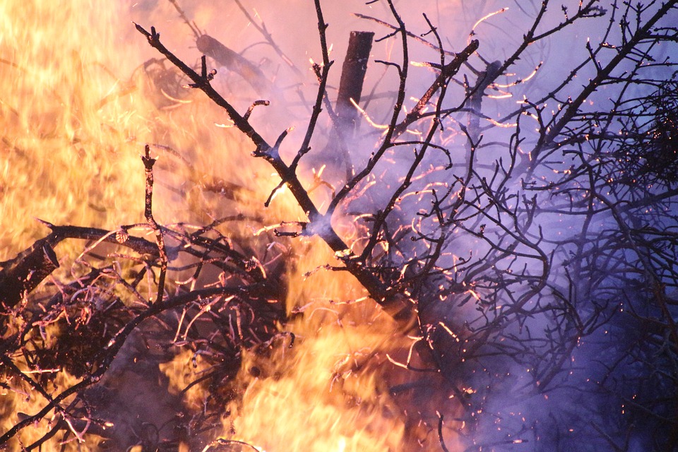 Έρευνα Αρχικής Εστίας και Αιτίας πυρκαγιάς σε Δάσος